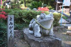 鰐鳴八幡宮３