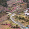 里山の春2