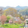 春色の里山