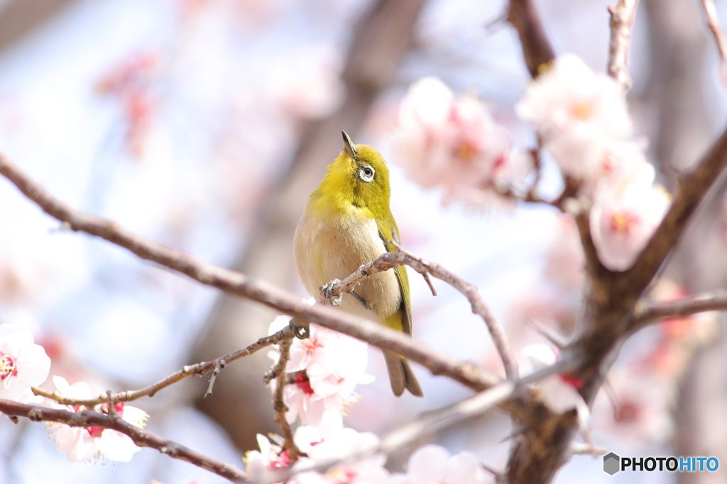 .・:＊おしゃべり.・:＊