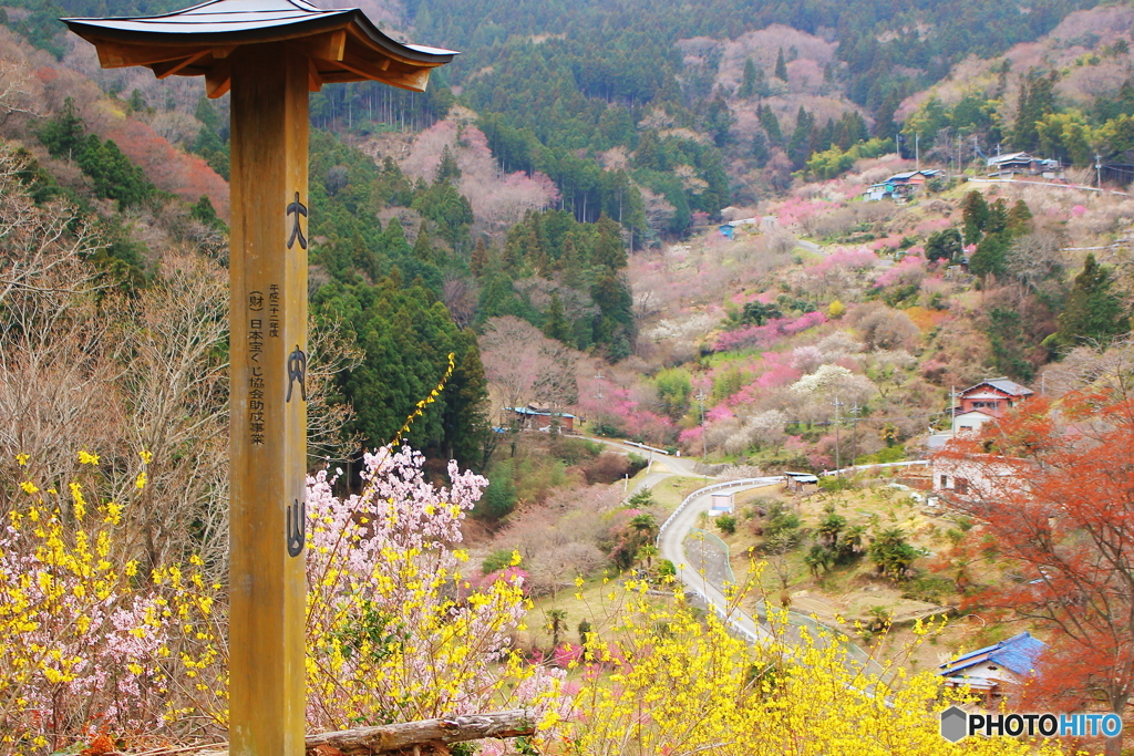 里山の春