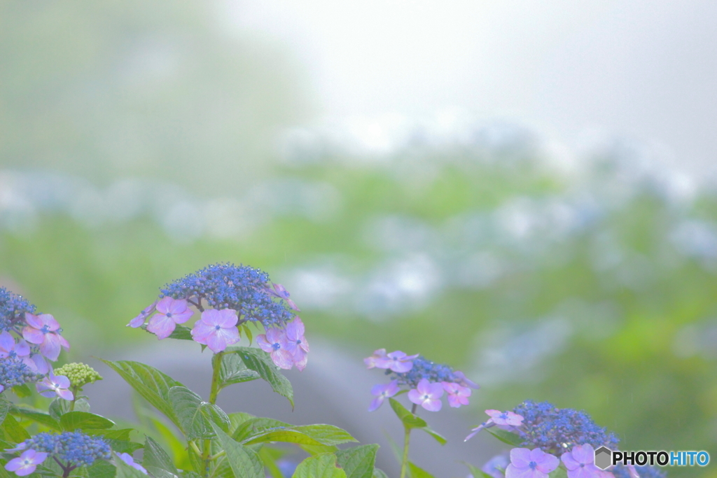 優しさに包まれて.・*