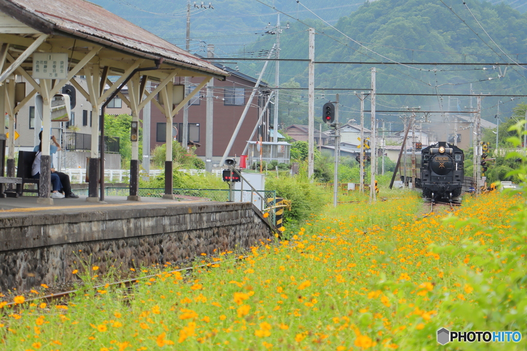 花の咲く駅