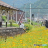 花の咲く駅