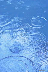 雨音