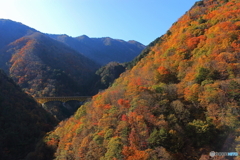 豆焼橋の秋