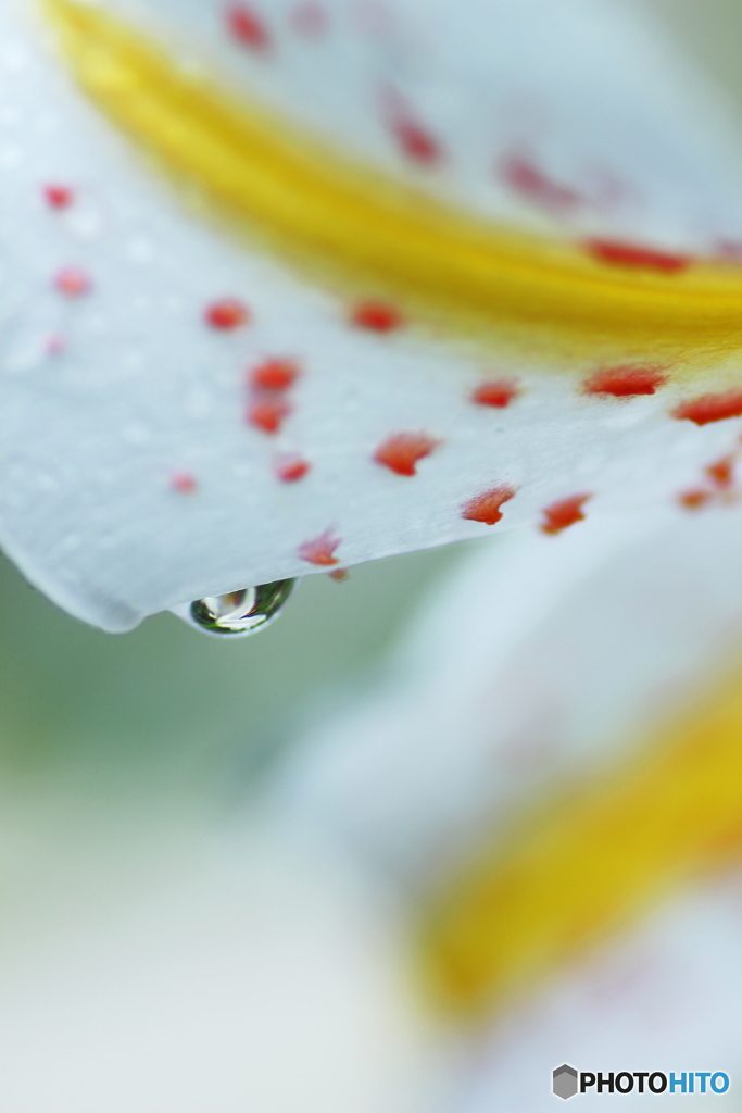 雨上がり