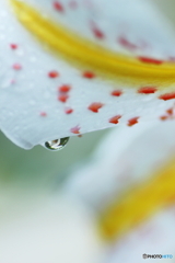 雨上がり