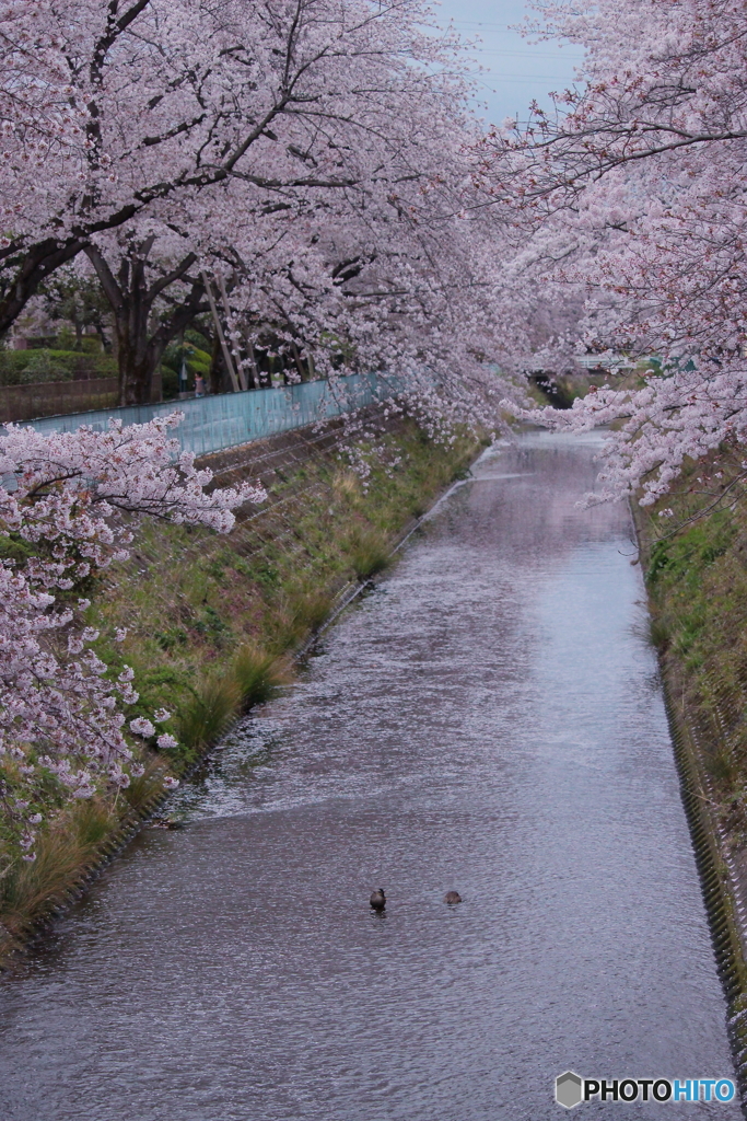 雨あがり