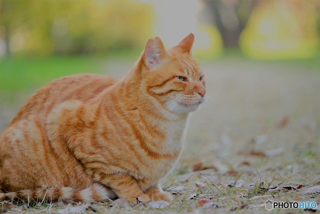 待ち人