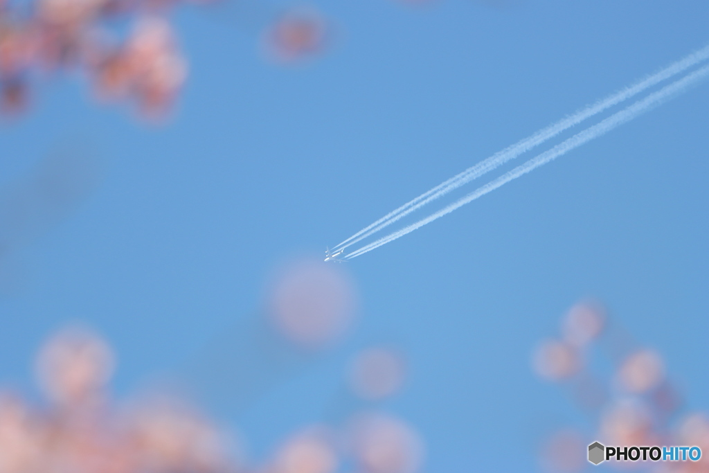 ひこうき雲
