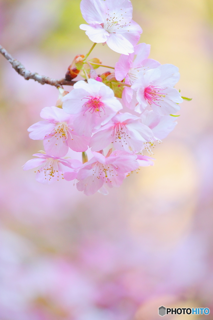 spiritual beauty.・*