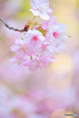 spiritual beauty.・*
