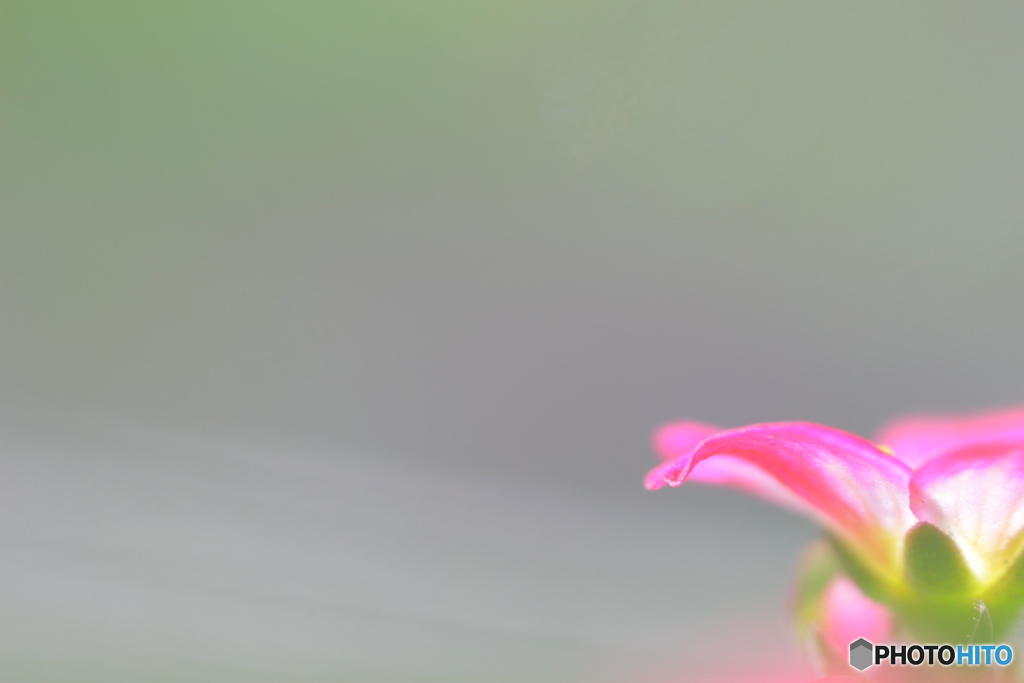 雲間に。。。