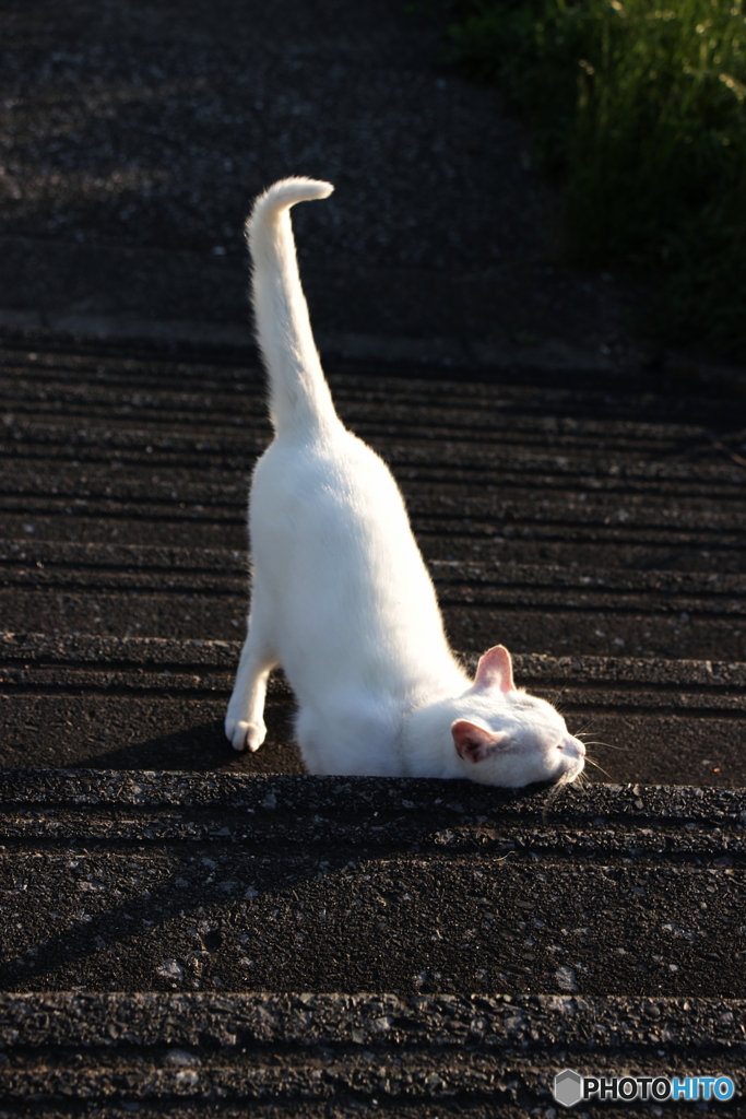 ウィーっす＾＾