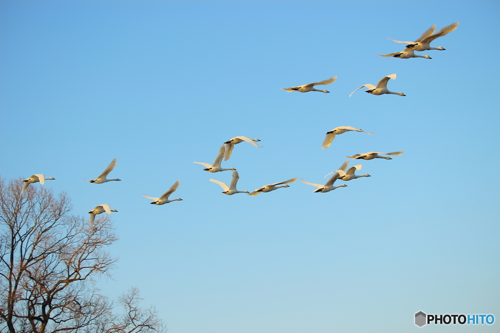 みんな家族だね