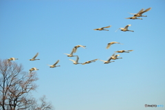 みんな家族だね