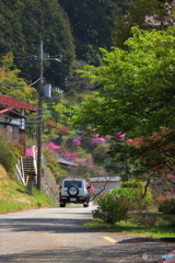 風光る里山