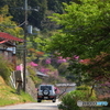 風光る里山