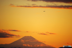 夕焼けと飛行機