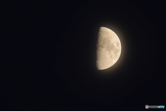 朧月夜