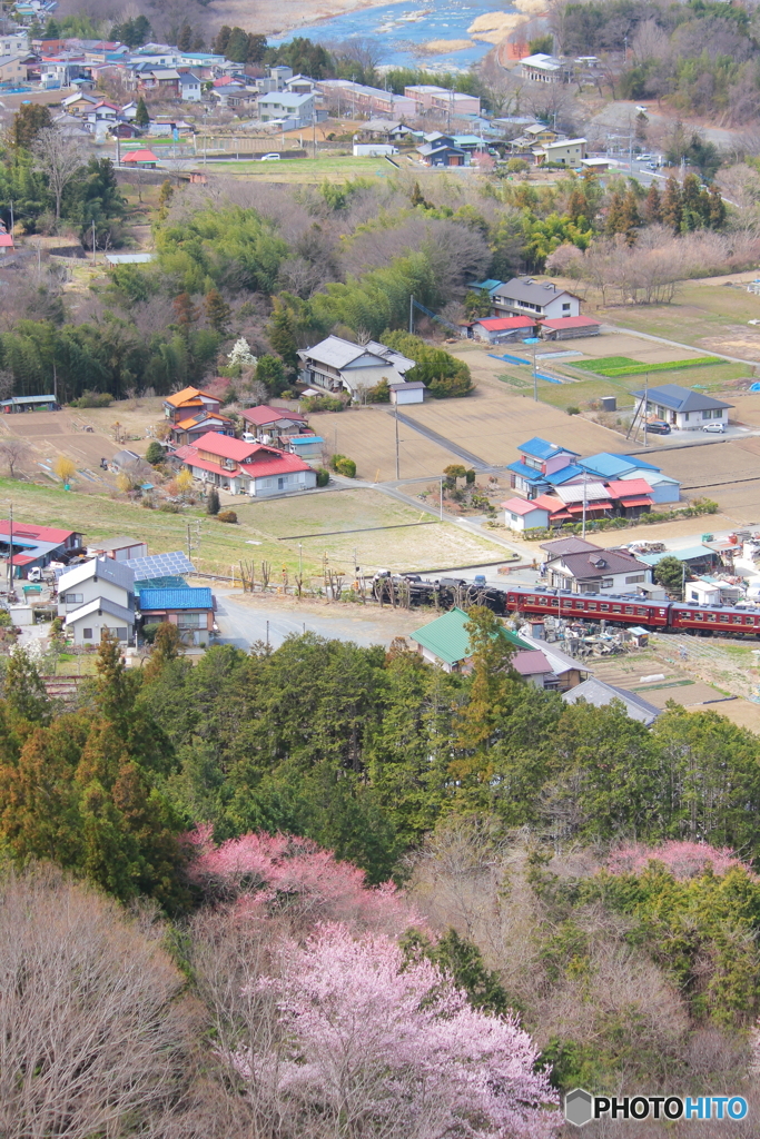 山を歩くと見えるもの⑩