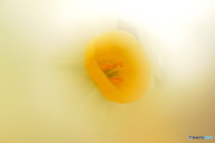 おへそじゃないよ＾＾