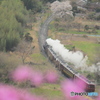 春の秩父路