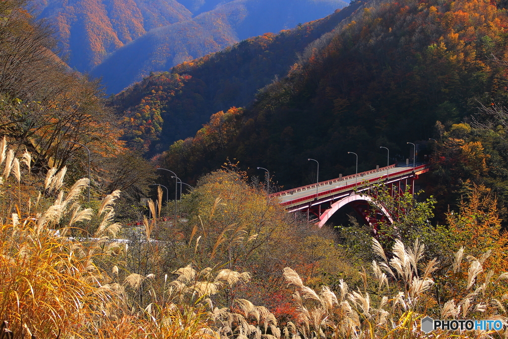 豆焼橋の秋②