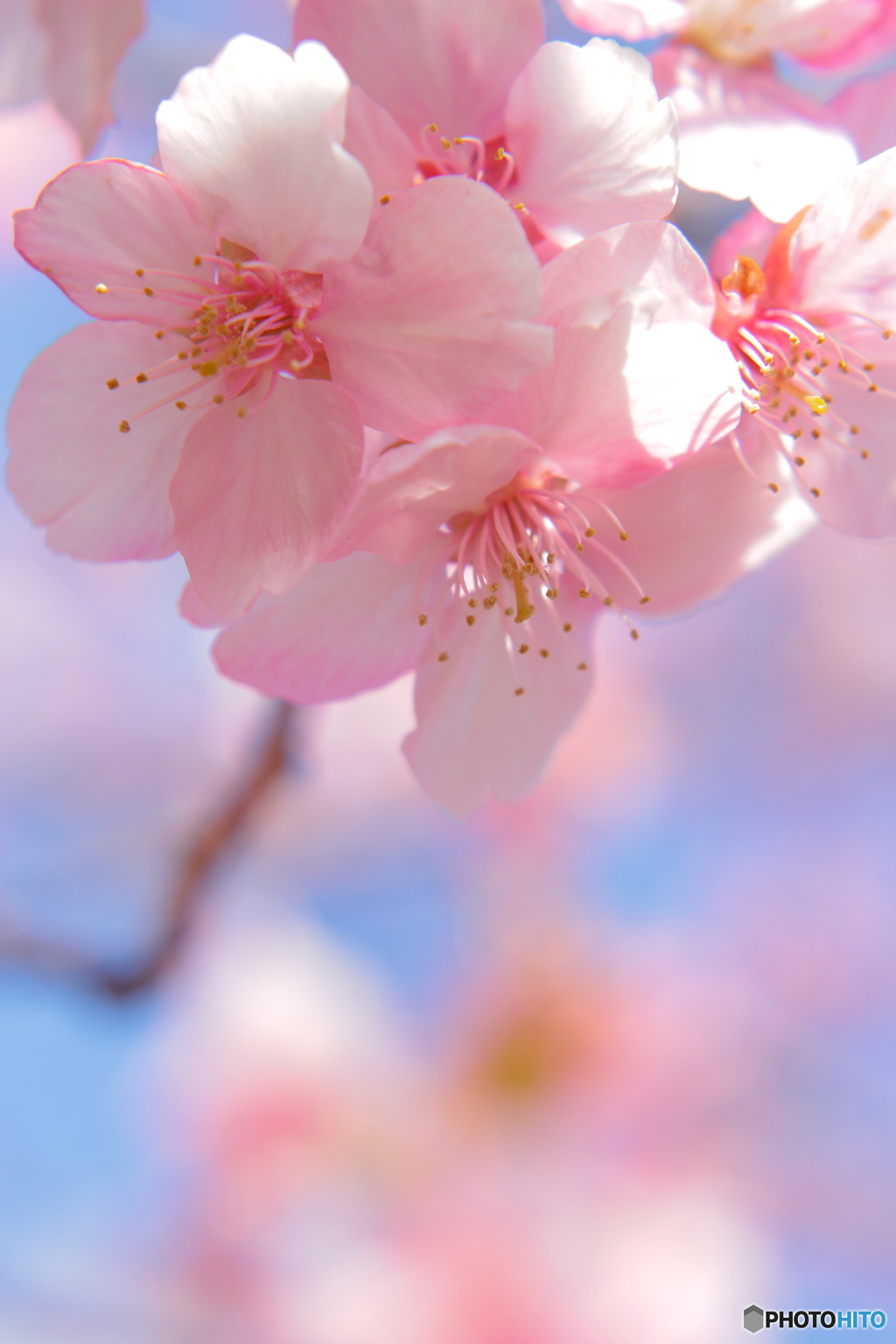 .・*夢の中.・*.・*