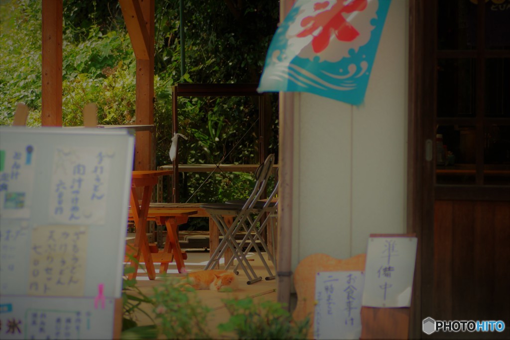 ＊＊うたた寝＊＊