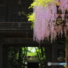 静寂②