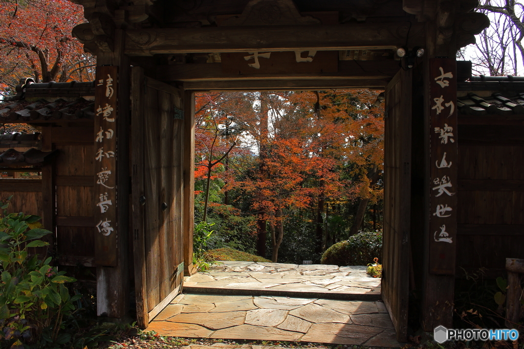 寺の秋