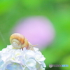 雨音に誘われて＊