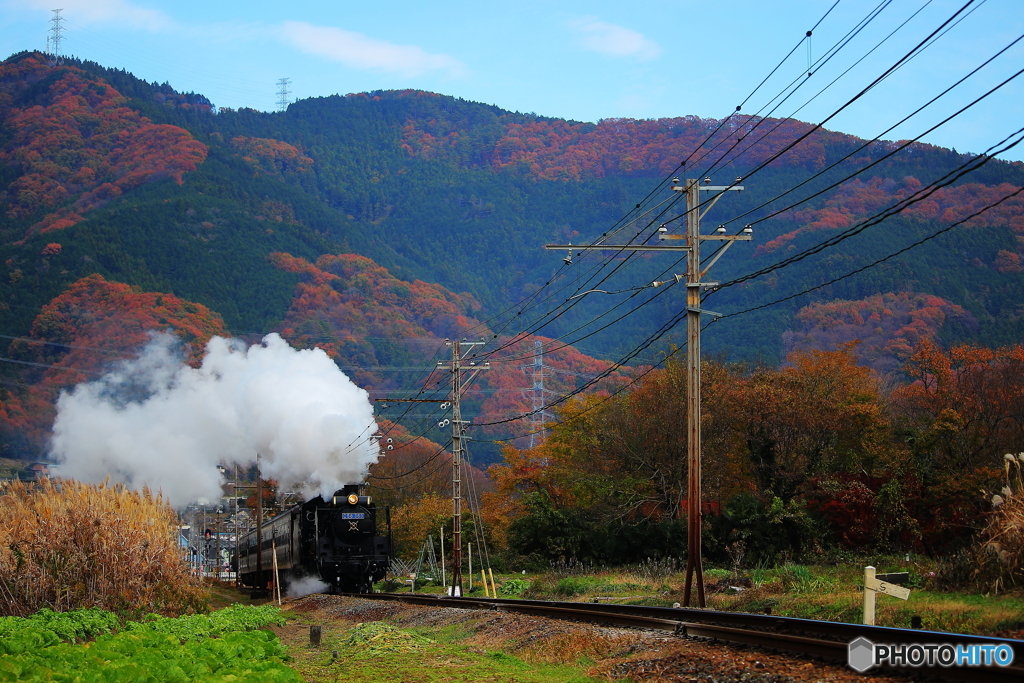 いつものように