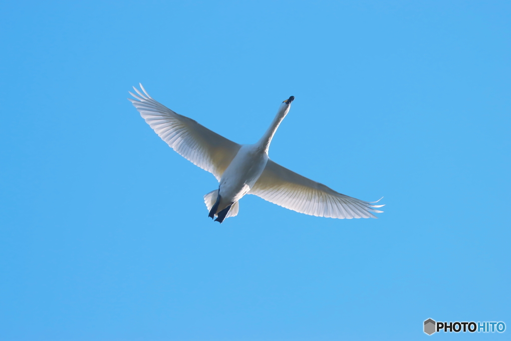 青空