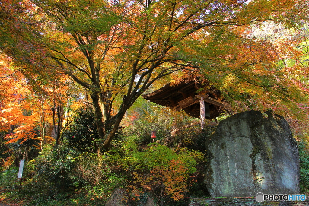 慈光寺の秋②