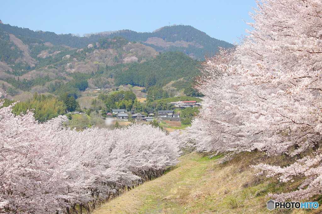 虎山にて①