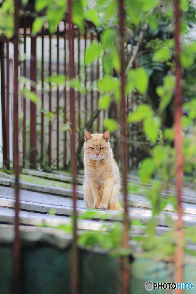 気を付けるんだよ