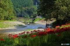 秋を楽しむ