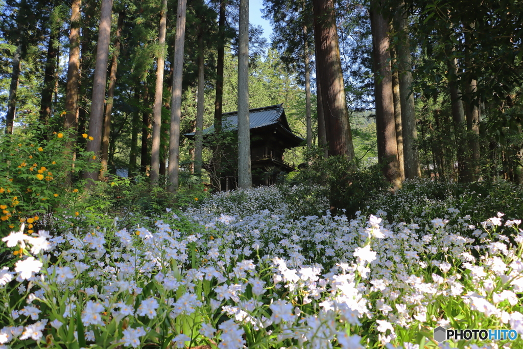 龍隠寺