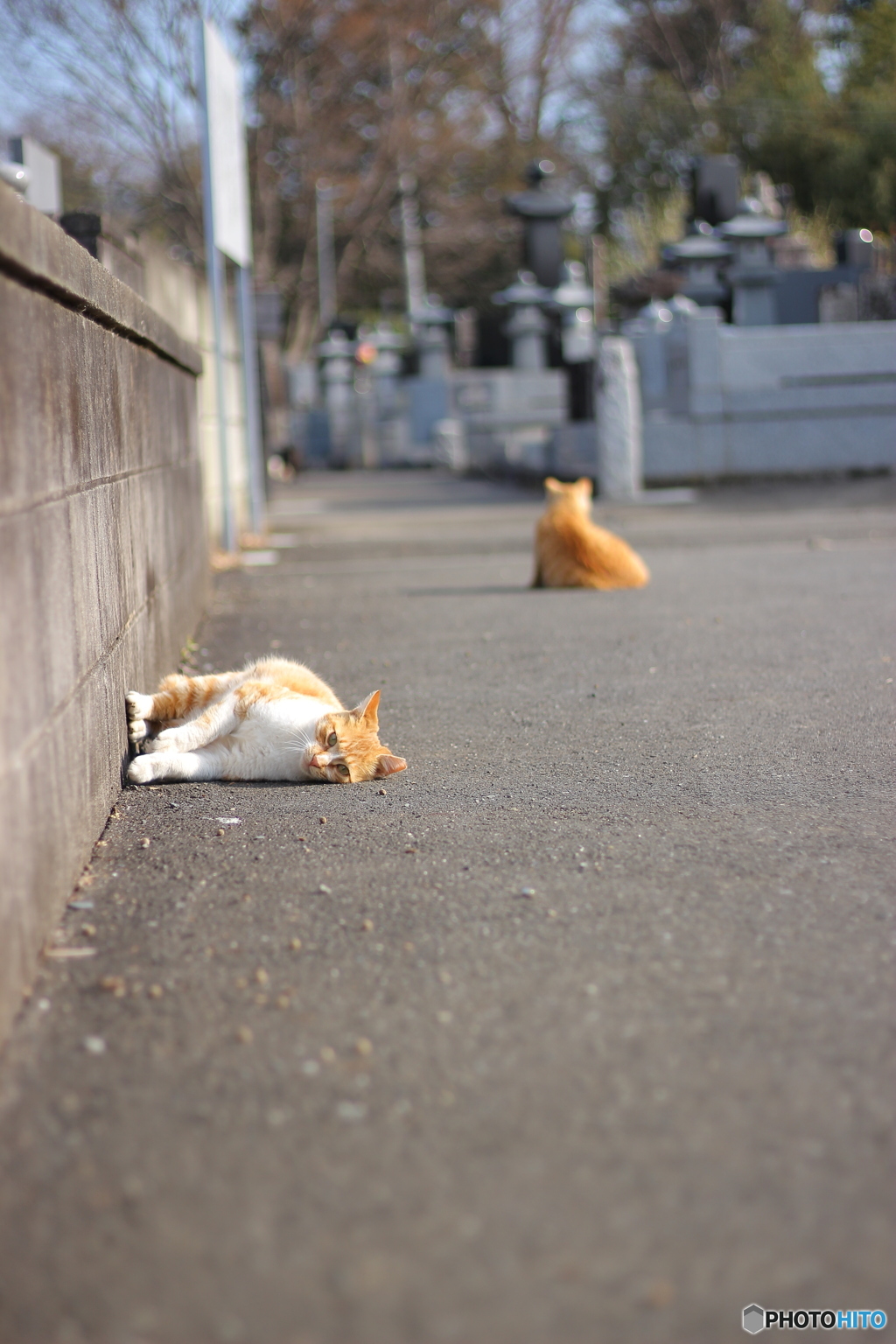 ＊たて？よこ？＊