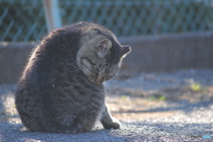 かゆーい