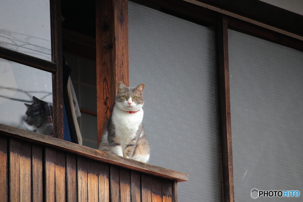 まるちゃん