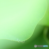 雨音のしらべ＊
