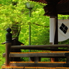 新緑の多聞院