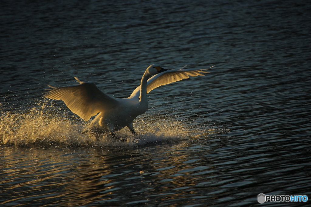 landing