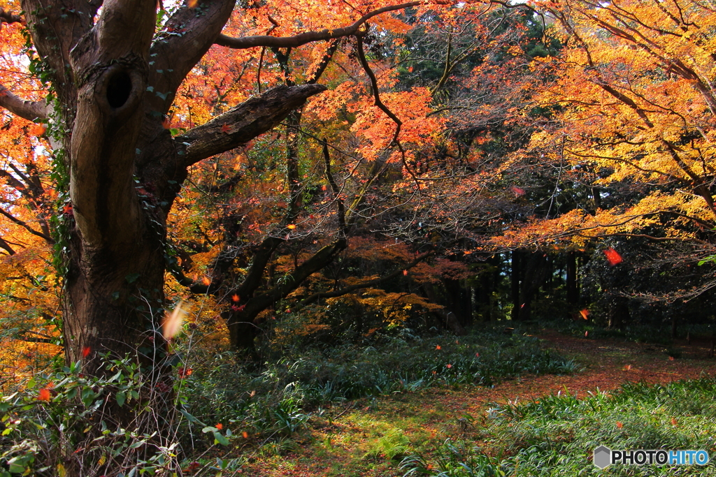 慈光寺の秋①