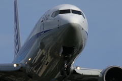 737