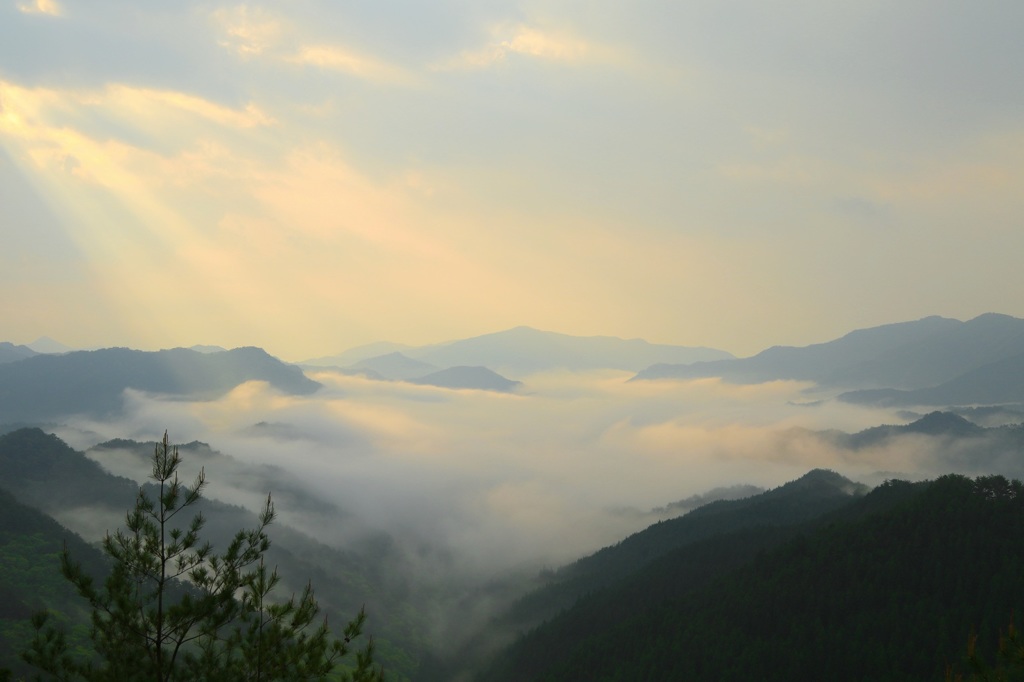 野迫川村　雲海